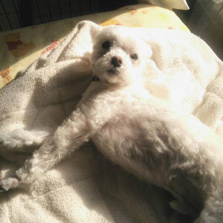 311f25c5 7fb2 4c9f abc5 7ede7ba3f0a7