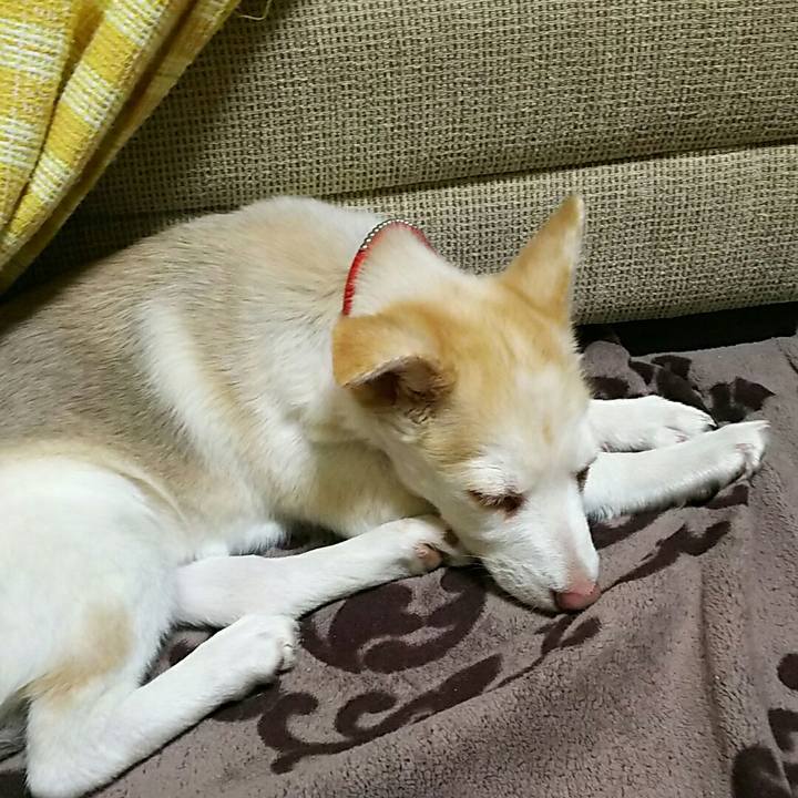 311fc269 bd28 4e00 9406 d2f09401bd58