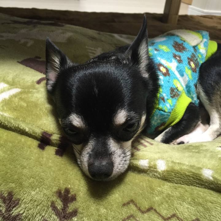 311ff9a3 7e77 4e31 9803 c3b7e90a467a