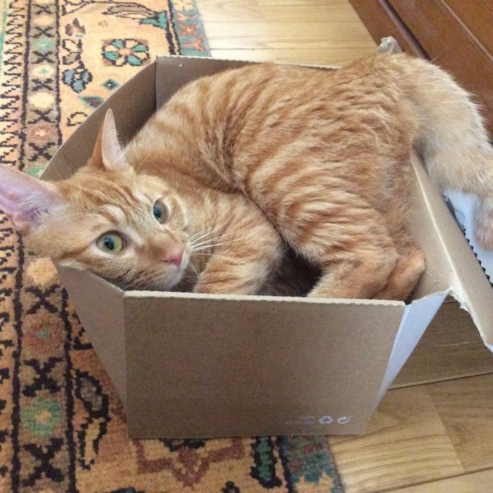 3120bbf9 0ab5 4bf2 90db f580e7abba58