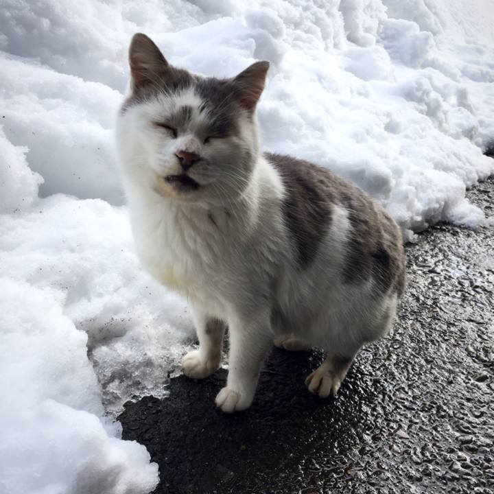 31210d70 7b6d 4fc6 b0ae 1597770e65bf