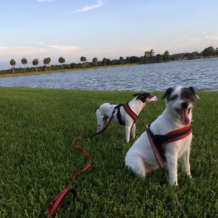 3121203f eb0d 492a a01e ef0b5e12a46b