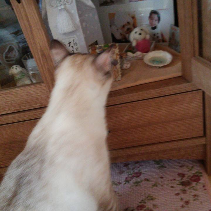 3121a909 2250 4aae 9cb3 11d99639d234