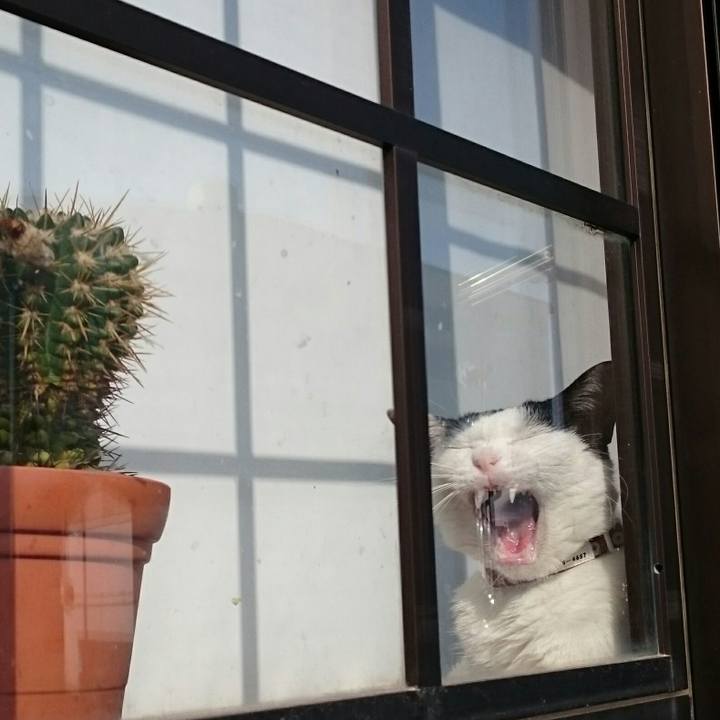 3121fcae 2272 4946 8506 e5389fd8e48a