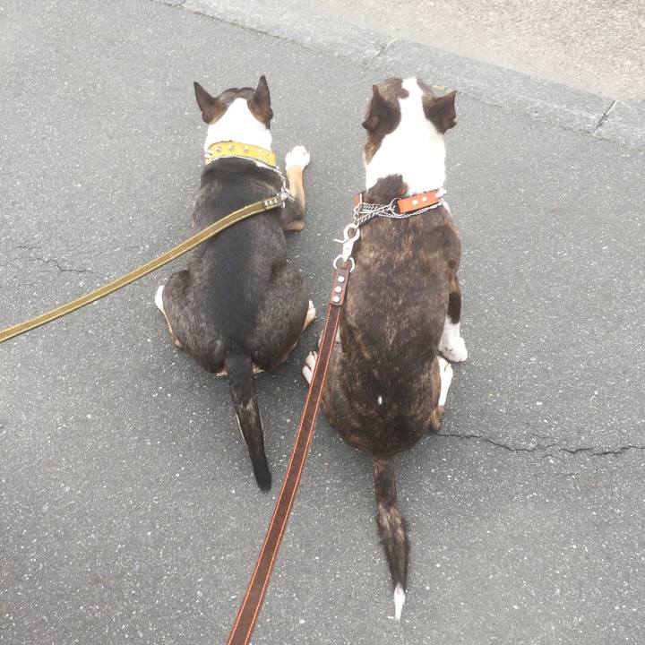 31222770 9dc6 4a07 aa9b ad7b0a4032dd