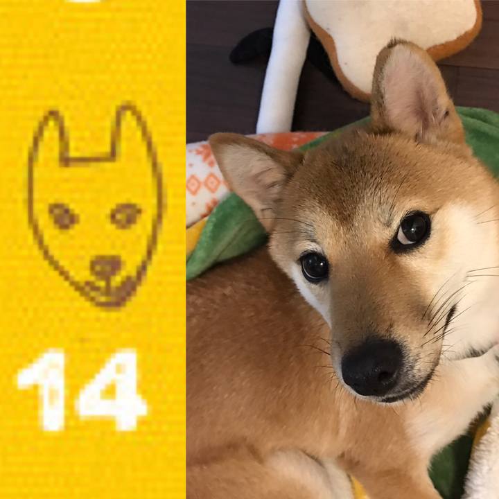 31227be0 7ae4 455d a096 1368d671a40e