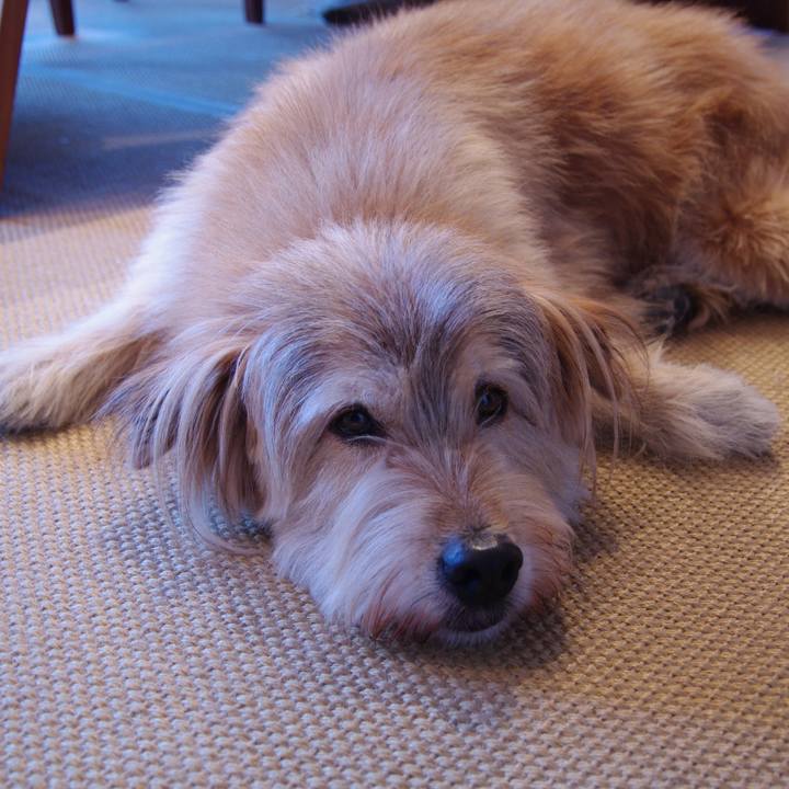 31231630 464d 42c2 80b9 e05f99f250af