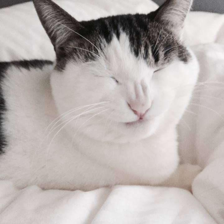 31237336 d6bc 4d98 b3d1 ba91e982980b