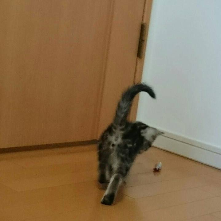 3123ca2b 980e 4c2d b041 66353a0149bb