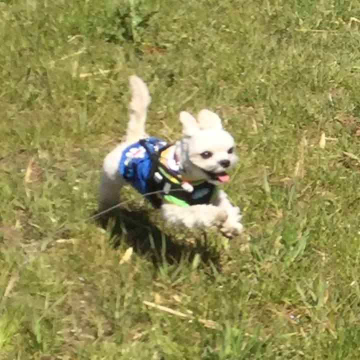 3123d4ec 808b 4108 abb1 013013dd1113