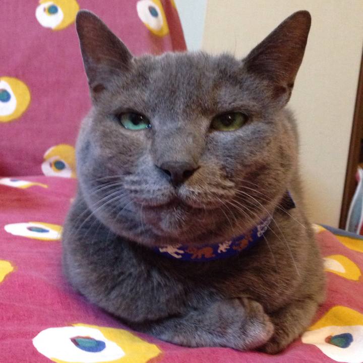 3123eaf7 7a30 45df acef 386865d444df