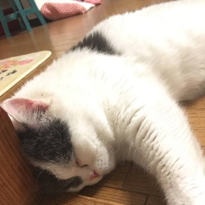 3123f451 eba9 4aa8 888b b43c8ee3a1ce