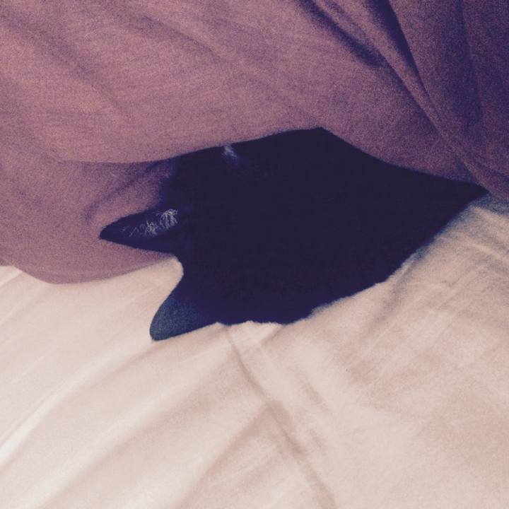 31243d15 9415 494c 9a1b be124dc28805