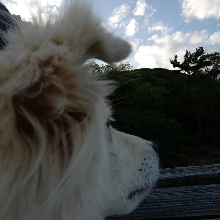 31245381 9657 43c0 860f 98777389bee2