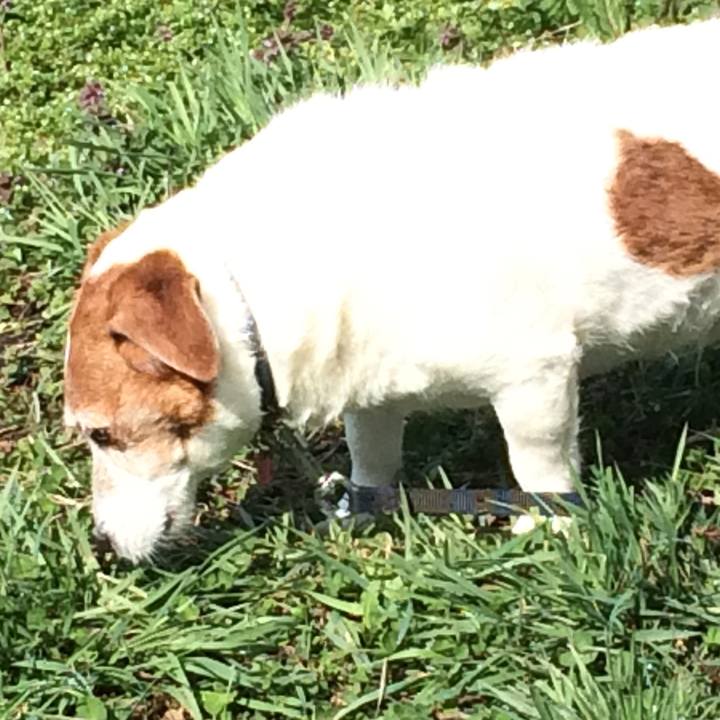 312486b8 0ce0 4599 8862 ce06b81366d9