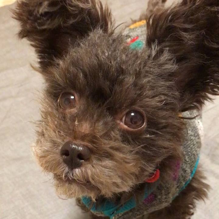 3124e21e ac15 4e99 afea 1cea7fb26b18