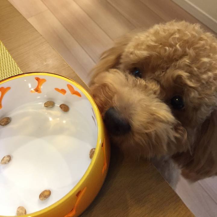 3124ea70 7865 401c 98d9 c662d9539b67