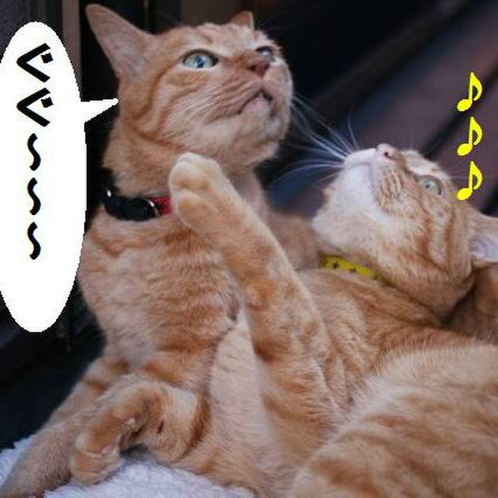 31251cff 0565 40d4 881c 00a18dfb0943