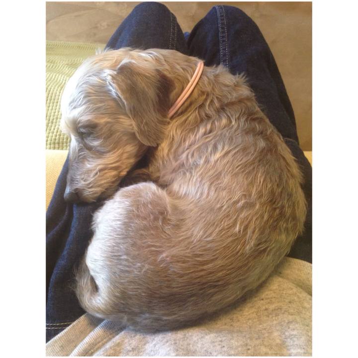 312527ec 94ad 4ad8 9adc b284011edb05