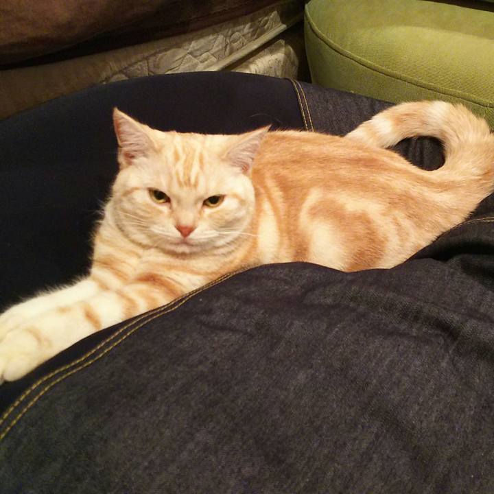 31252b2b 0742 4100 85fd 7c1e17b6f5ea