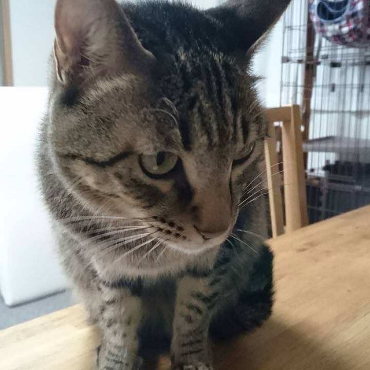 3125548e c056 4371 b4ea ed3d5c3f69f4