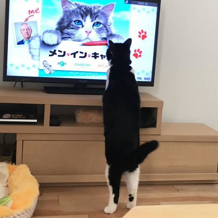 3125755b f5e2 45c3 90f9 cf9c8e206995