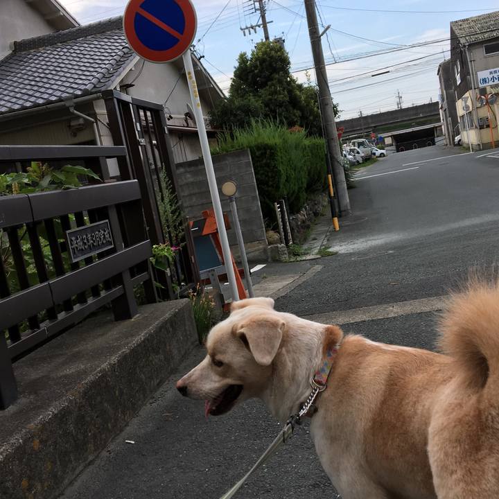 31263c3d 3d5e 4ae3 9789 c2b8e60f0a98