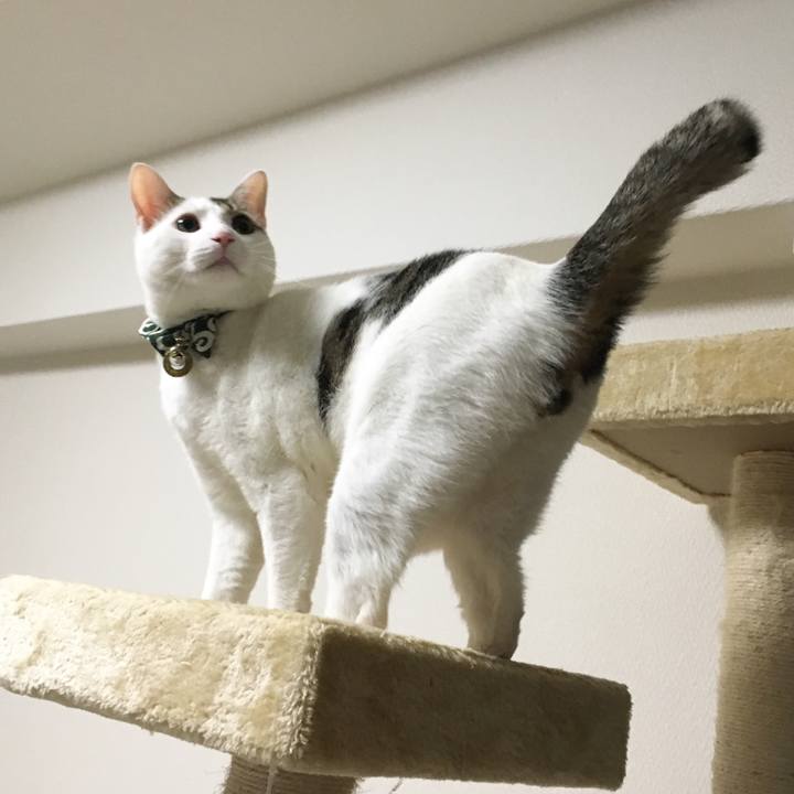 312667dc 06f5 4ef0 9f30 25a4b28b7ba1