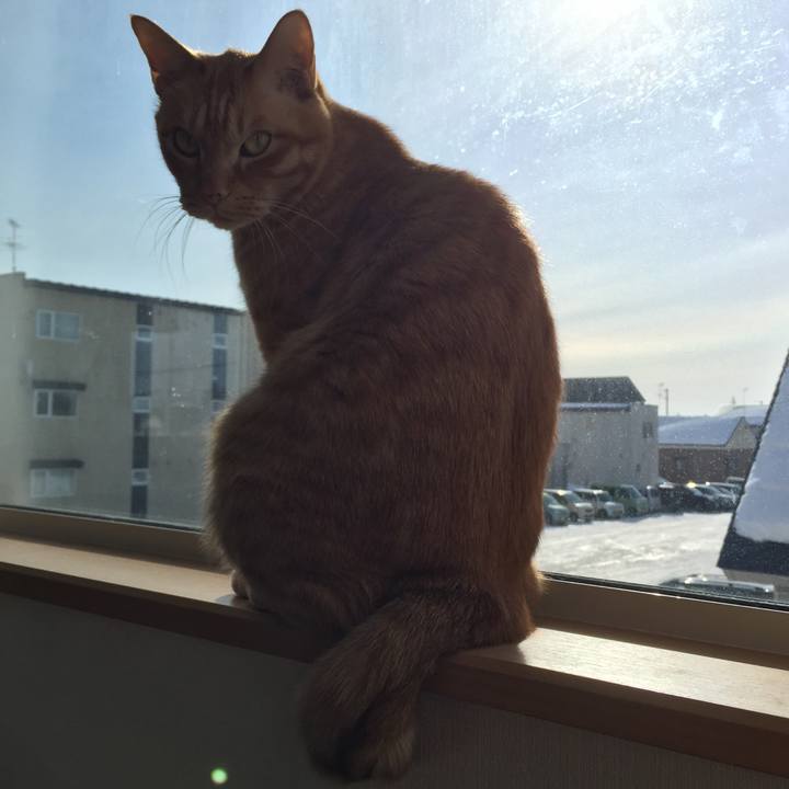 31273dcd edfa 4eab a28e 01c283258db6