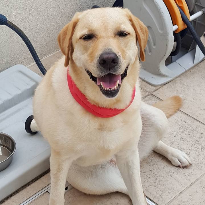 31285c52 0702 4a5d 8a74 3f0f5188aa06