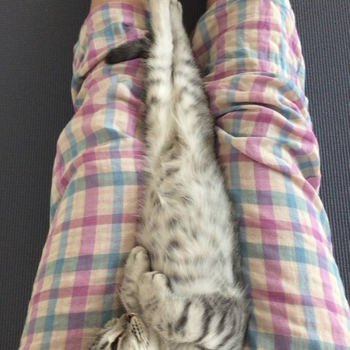 31287ad6 f380 4b8b b882 6123c962f6e6