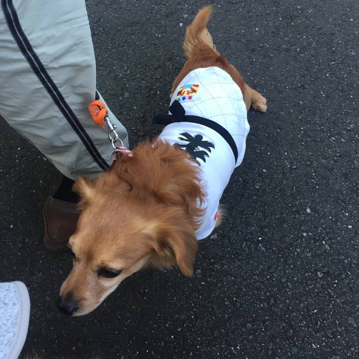 31295747 79f0 47eb a68d a7784a268602