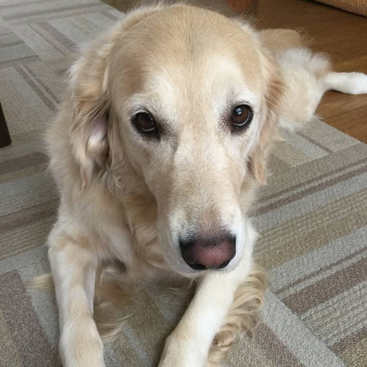 31296ce5 4286 4248 b875 35702353aebf