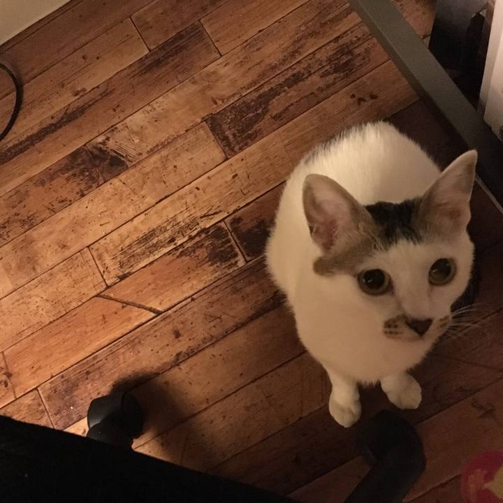 31297930 2615 469b 9b8a 4ae015bc8712