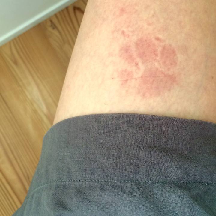 312993ba f096 47e3 8d12 f21c61a7d92e