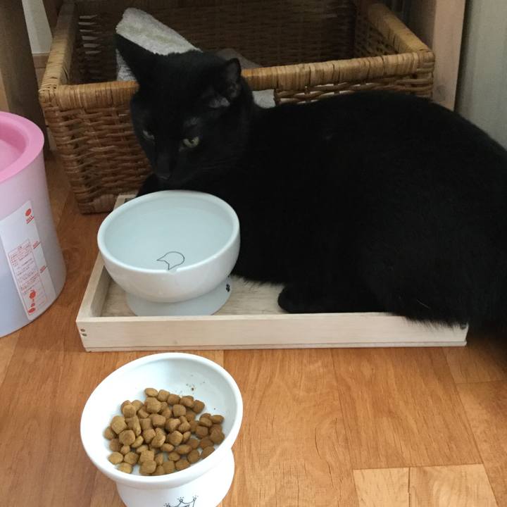 3129ad8c 3bdd 46da ba8b e763f024e2d0