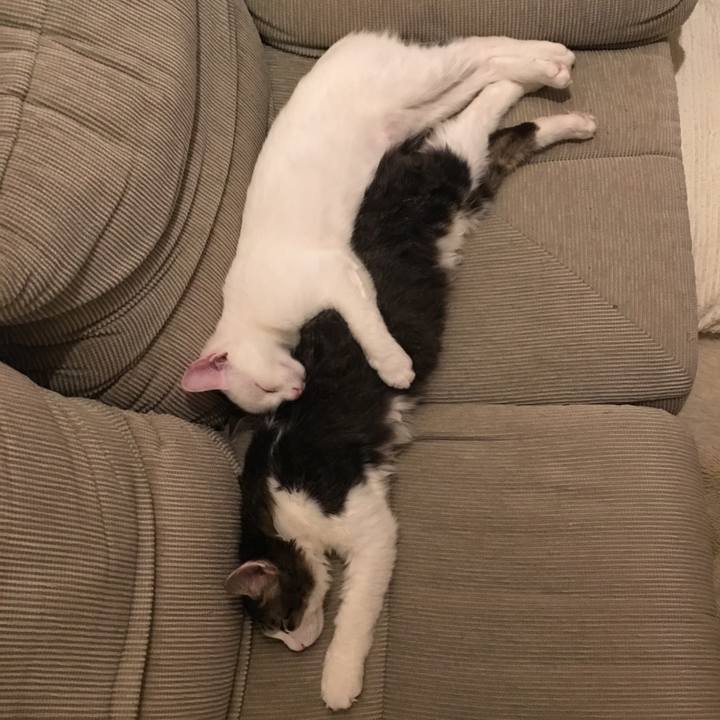 3129d995 9255 4883 84ab a2455279dd49