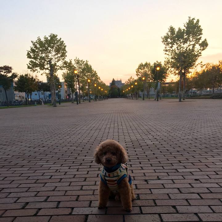 312aca3a 07b5 4c3f b41b 534b599a6c65