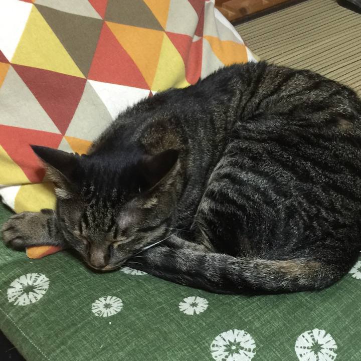 312cd3bd 1b09 4527 b5dd e42727ed3f2f