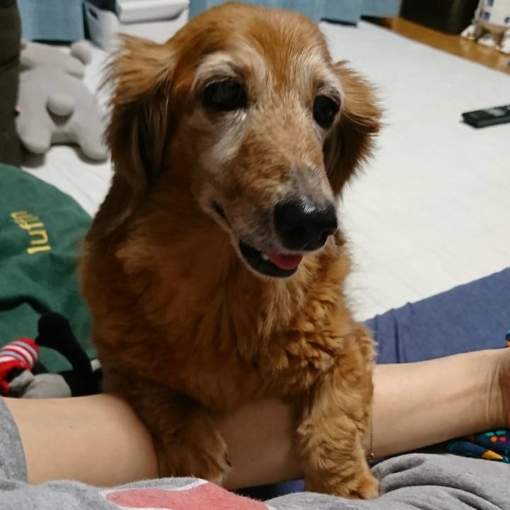 312d47bc a867 4253 a129 107d3d3f2eef