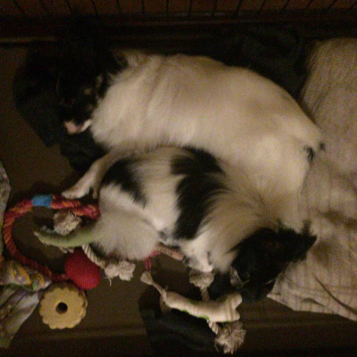 312d4cab 98a0 4a02 86fb f1d56eeb1514