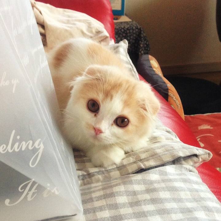 312d9bb8 28b6 4916 9ec3 3104afd9e9a3