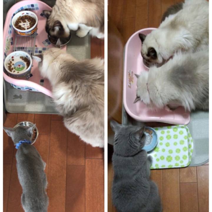 312da6d1 8cdb 4450 8cbb 54c1843d59ef