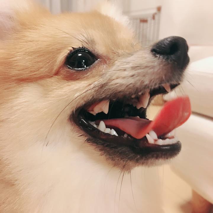 312de484 92b9 4965 9cea 9fa59d0d20dd