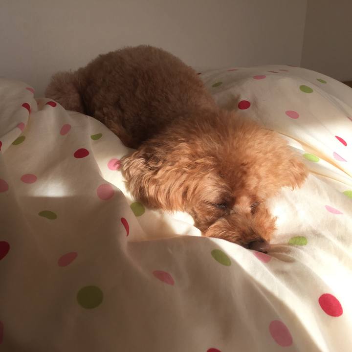 312eef6c fa3e 4a9d b2f8 6fcc385acd32