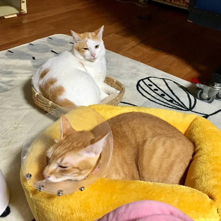 312ef83e edf9 4b4d b904 3f83b2da7b2f