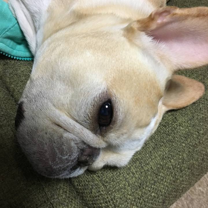 312f0e2a 0a2c 475e b6c7 7f70e0df9a50