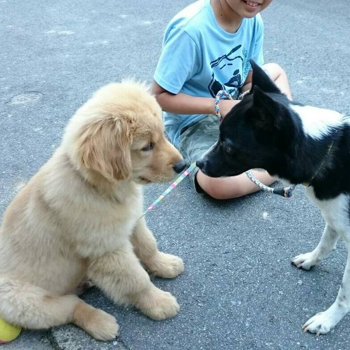 312fbe3e ce35 415c a7a7 4976e3745b3d