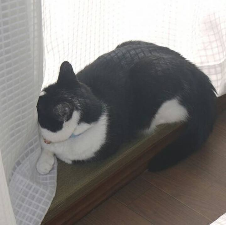 31303a8c 354c 42a3 be77 776abe9f181e