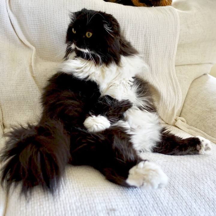 31317098 17e9 432b a2dd 895bb8ad75cb